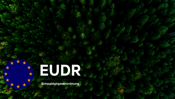 BVDM_Social_Media_5_.png BVDM_Social_Media_5_.png